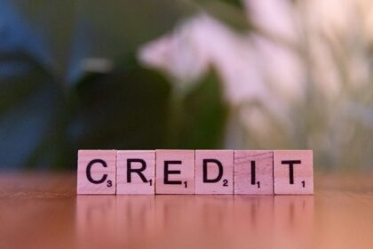 Good credit score – wooden blocks spelling credit against a blurred leafy background