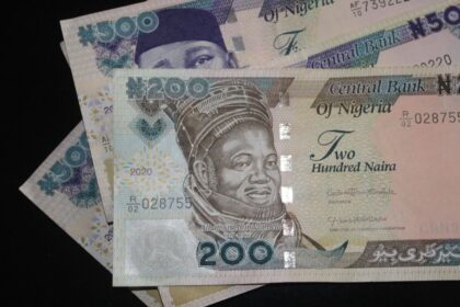 Treasury bills in Nigeria – nigerian naira notes