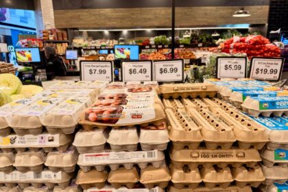What is inflation – eggs on sale in a supermarket showing rising grocery prices