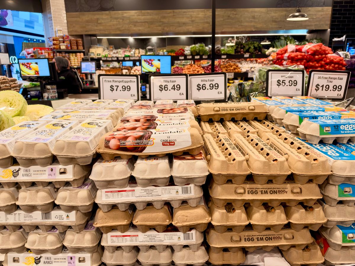 What is inflation – eggs on sale in a supermarket showing rising grocery prices